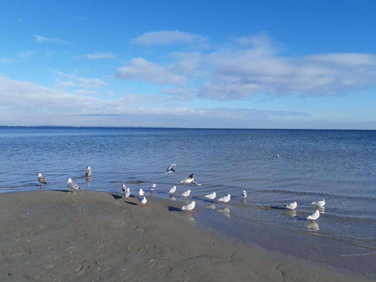 Ferienhaus Krabbe 1 Schmiedeberg Timmendorfer Strand Niendorf Eksteriør billede